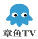 章鱼tv完整版