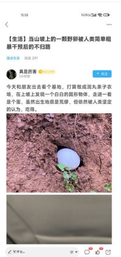 潼南论坛客户端