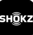 Shokz耳机极速版